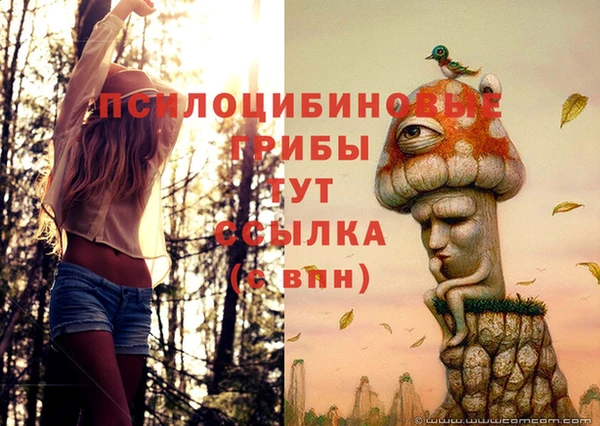 мескалин Струнино