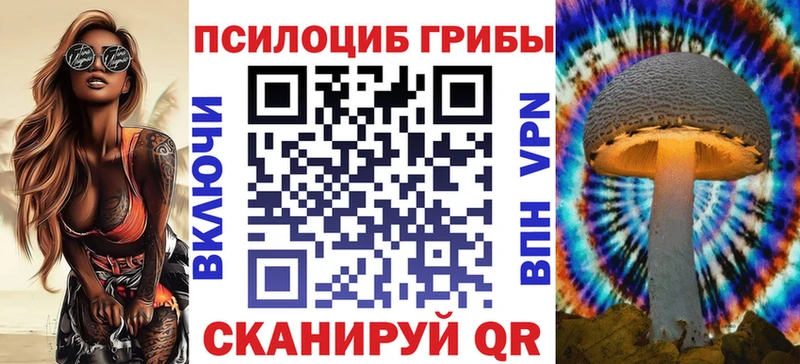 Галлюциногенные грибы Psilocybine cubensis  Эртиль 